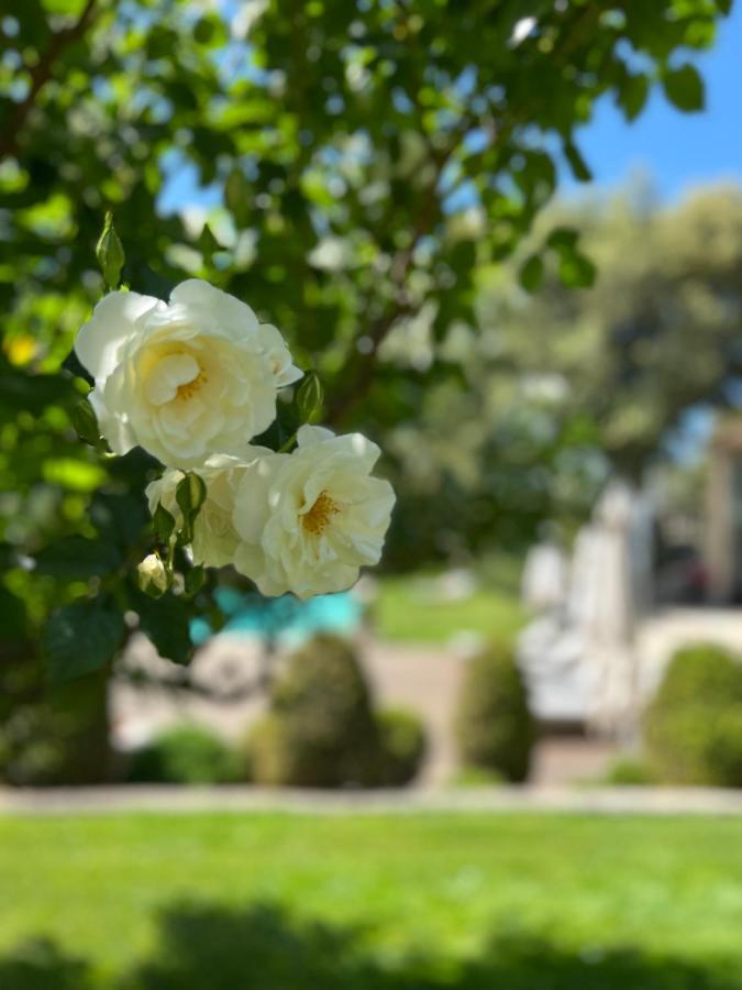 Villa Hautvallon - Peaceful Escape In Provence กอร์ด ภายนอก รูปภาพ